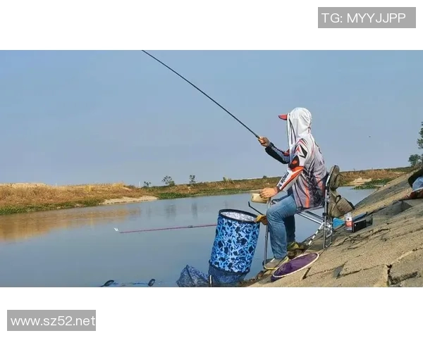 创新渔具技术与发展趋势探析:提升钓鱼体验的未来方向